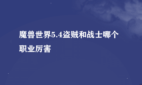 魔兽世界5.4盗贼和战士哪个职业厉害