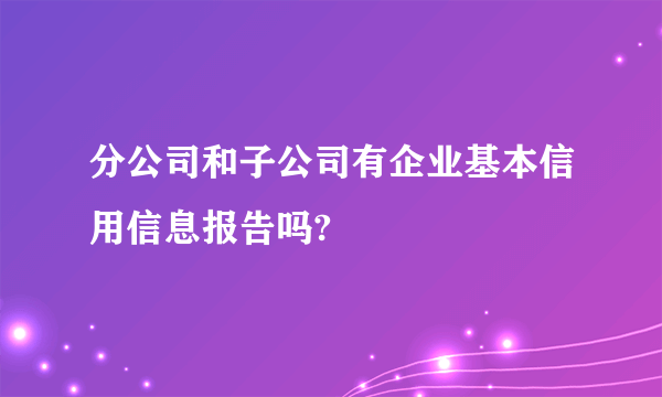 分公司和子公司有企业基本信用信息报告吗?