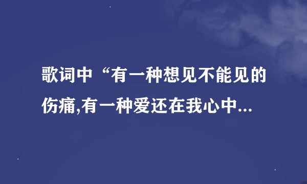 歌词中“有一种想见不能见的伤痛,有一种爱还在我心中。”求解歌名?