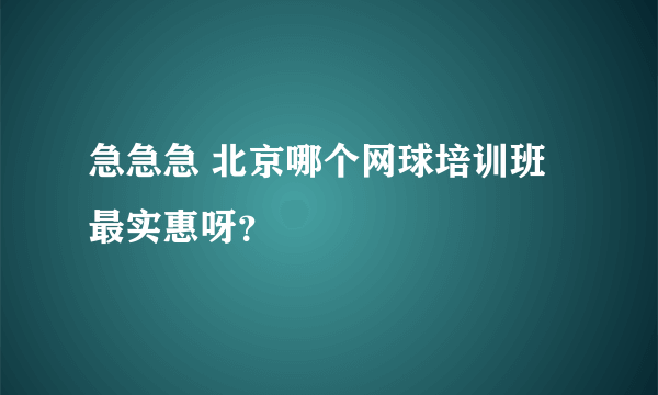 急急急 北京哪个网球培训班最实惠呀？