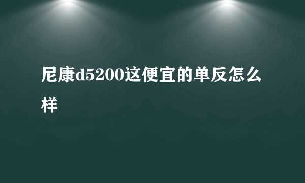 尼康d5200这便宜的单反怎么样