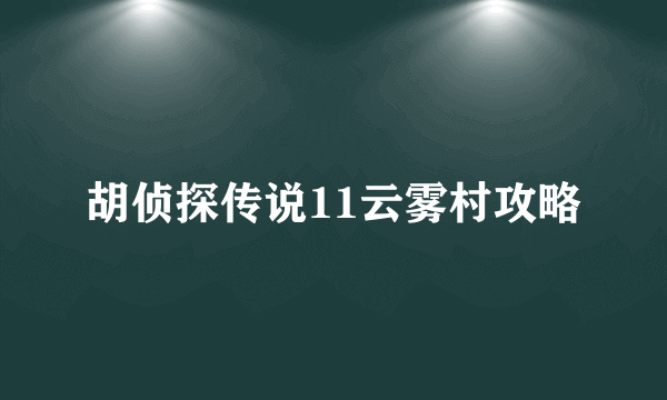 胡侦探传说11云雾村攻略