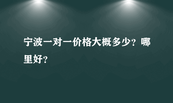 宁波一对一价格大概多少？哪里好？