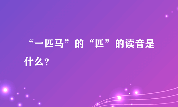 “一匹马”的“匹”的读音是什么？