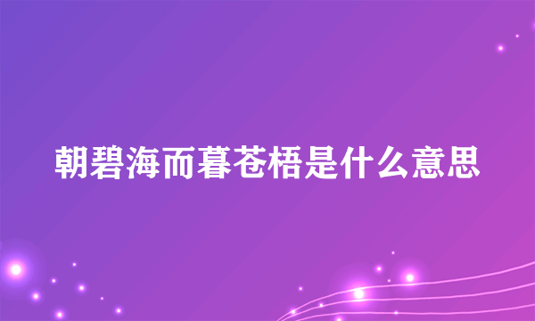 朝碧海而暮苍梧是什么意思