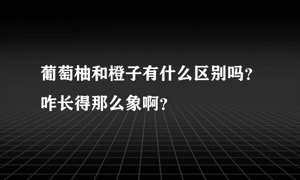 葡萄柚和橙子有什么区别吗？咋长得那么象啊？