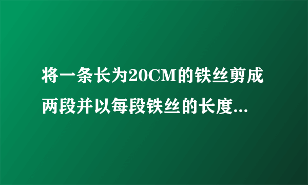 将一条长为20CM的铁丝剪成两段并以每段铁丝的长度为周长做成一个正方形