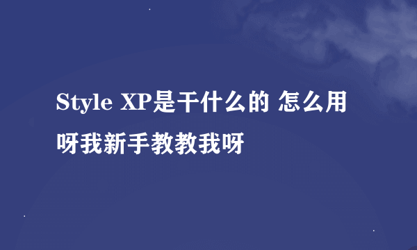 Style XP是干什么的 怎么用呀我新手教教我呀