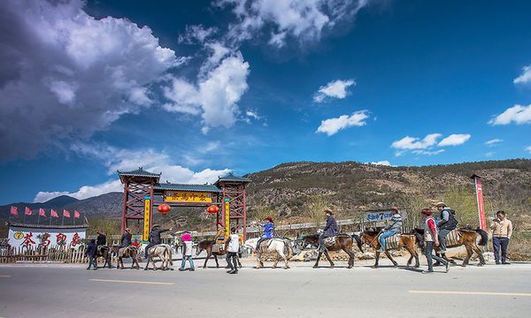 去丽江旅游，拉市海值得一游吗？