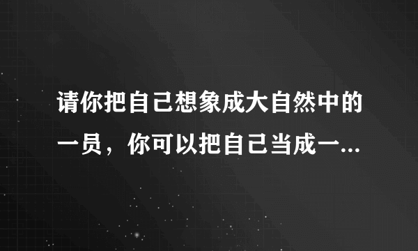 请你把自己想象成大自然中的一员，你可以把自己当成一种植物和一种动物，也可以当成一种自然景象形象，他