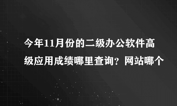 今年11月份的二级办公软件高级应用成绩哪里查询？网站哪个