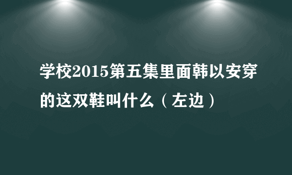 学校2015第五集里面韩以安穿的这双鞋叫什么（左边）