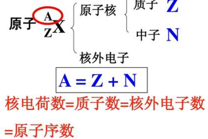 这个图里，质子数，中子数，其他各种数，该怎么看，怎么判断？