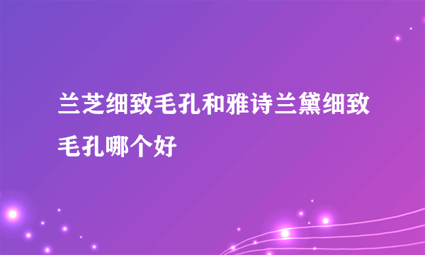 兰芝细致毛孔和雅诗兰黛细致毛孔哪个好