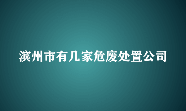 滨州市有几家危废处置公司