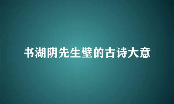 书湖阴先生壁的古诗大意