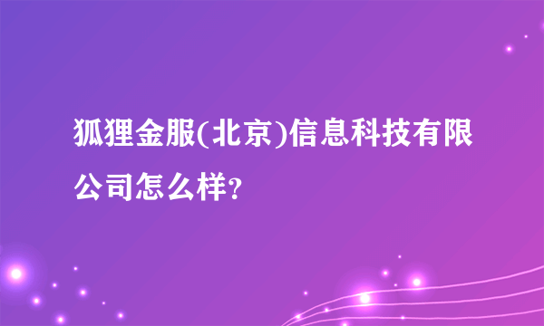 狐狸金服(北京)信息科技有限公司怎么样？