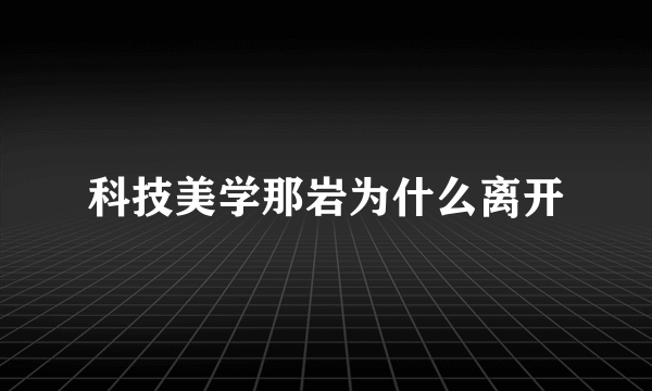 科技美学那岩为什么离开