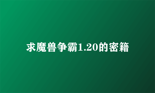 求魔兽争霸1.20的密籍