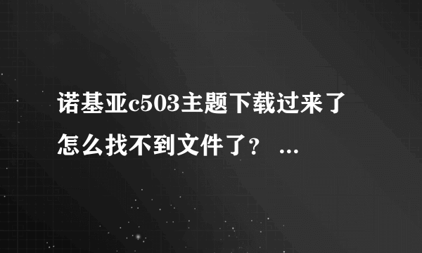 诺基亚c503主题下载过来了 怎么找不到文件了？ 还有怎么用起来啊？