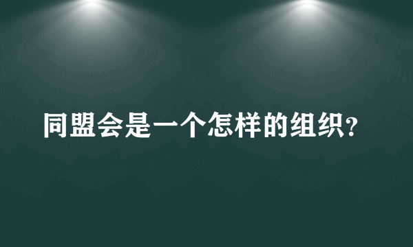 同盟会是一个怎样的组织？