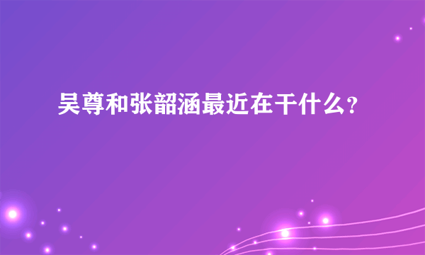 吴尊和张韶涵最近在干什么？