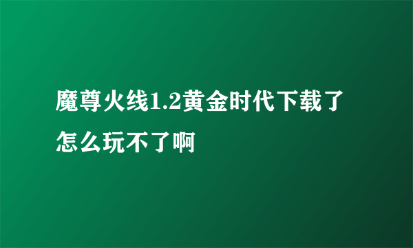 魔尊火线1.2黄金时代下载了怎么玩不了啊