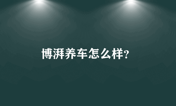 博湃养车怎么样？