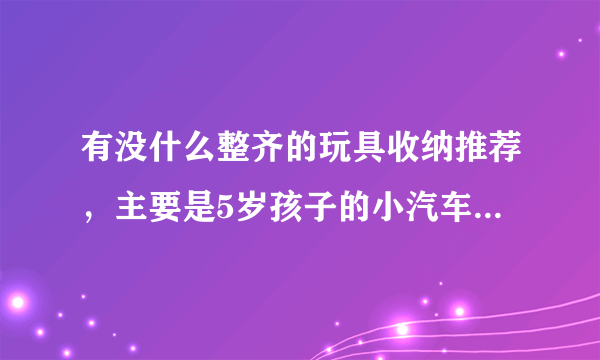 有没什么整齐的玩具收纳推荐，主要是5岁孩子的小汽车，轨道，大小颗粒积木，画笔手工材料等等？