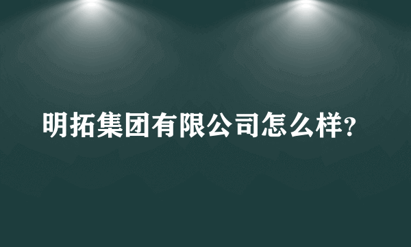 明拓集团有限公司怎么样？