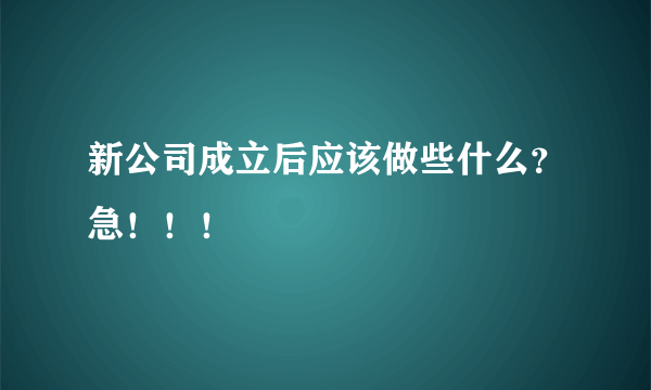 新公司成立后应该做些什么？急！！！