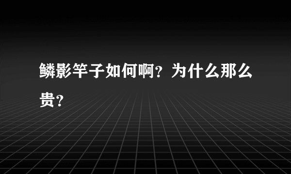 鳞影竿子如何啊？为什么那么贵？