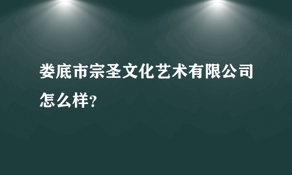 娄底市宗圣文化艺术有限公司怎么样？