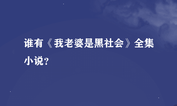 谁有《我老婆是黑社会》全集小说？