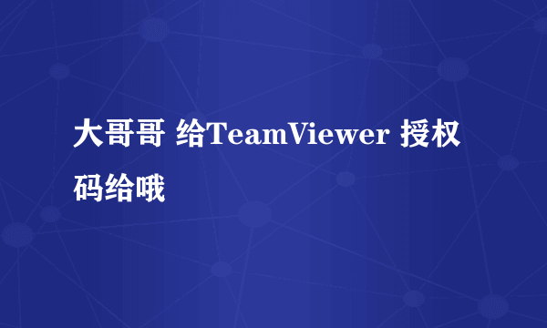 大哥哥 给TeamViewer 授权码给哦