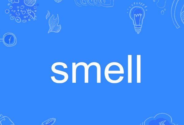 smell是什么意思