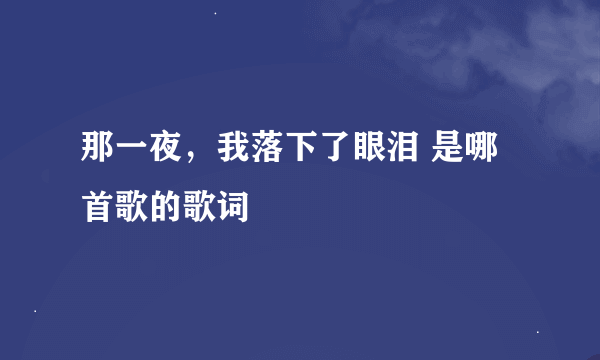 那一夜，我落下了眼泪 是哪首歌的歌词