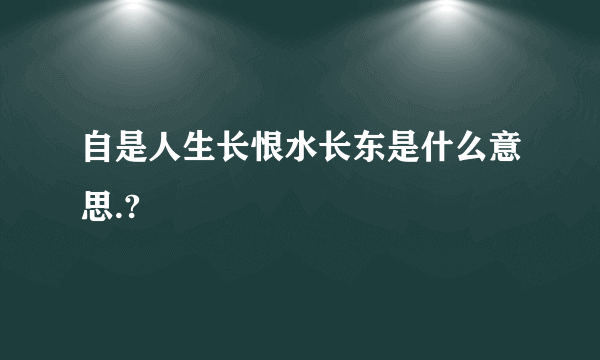 自是人生长恨水长东是什么意思.?