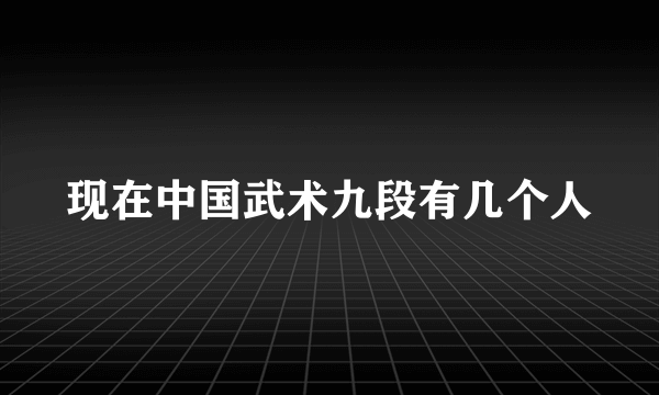 现在中国武术九段有几个人