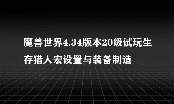 魔兽世界4.34版本20级试玩生存猎人宏设置与装备制造