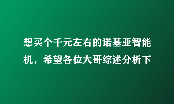 想买个千元左右的诺基亚智能机，希望各位大哥综述分析下