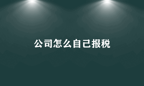 公司怎么自己报税