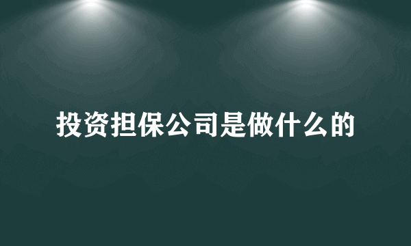 投资担保公司是做什么的