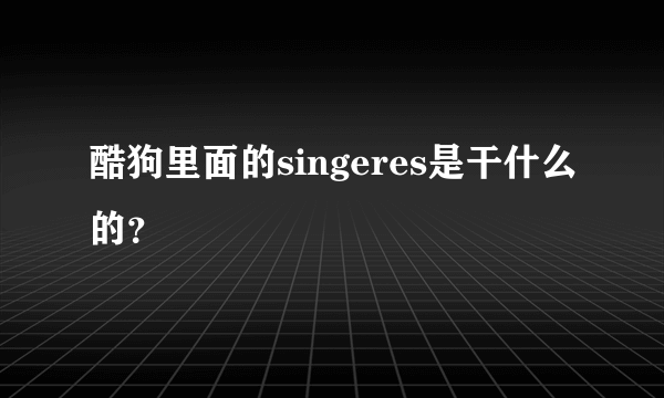 酷狗里面的singeres是干什么的？