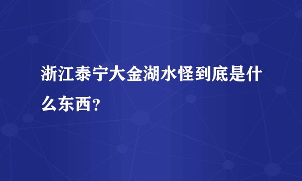 浙江泰宁大金湖水怪到底是什么东西？