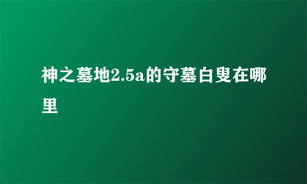 神之墓地2.5a的守墓白叟在哪里