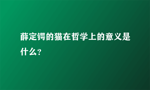 薛定锷的猫在哲学上的意义是什么？