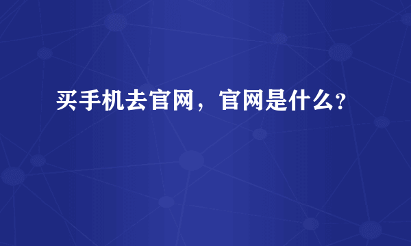 买手机去官网，官网是什么？