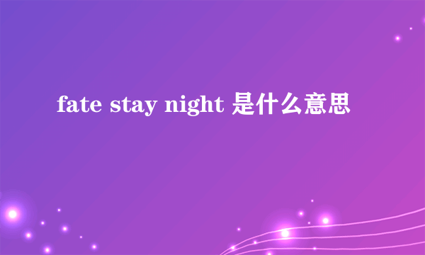 fate stay night 是什么意思