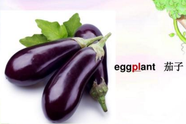 为什么英语茄子叫EGGPLANT？